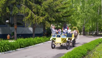 Прокати, лошадка, нас!