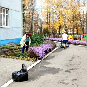 Санитарная пятница