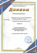 Диплом Министерства физической культуры и спорта Пензенской области